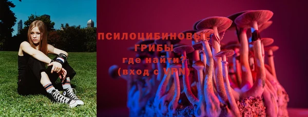 эйфоретик Верея
