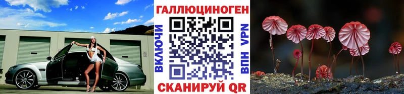 сколько стоит  Новосокольники  Галлюциногенные грибы Psilocybine cubensis 